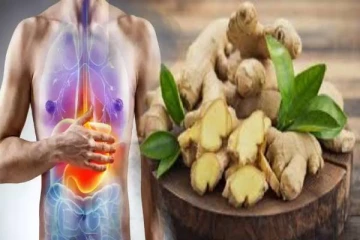 தினசரி இஞ்சி சேர்த்துக்கொண்டால் இத்தனை ஆபத்தா? யாரெல்லாம் சாப்பிட கூடாது