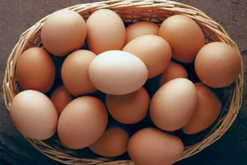 கோழி முட்டை பயன்பாடு 80 வீதமாக குறைந்துள்ளது:கிராமங்களில் இயங்கி வந்த கோழிப் பண்ணைகள் மூடல்