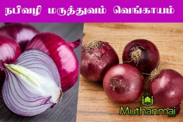 நபிவழி மருத்துவம் - வெங்காயம்