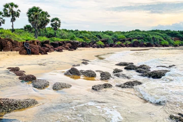 முல்லைத்தீவின் கடற்பகுதியை உரிமை கோரும் கனேடியர்