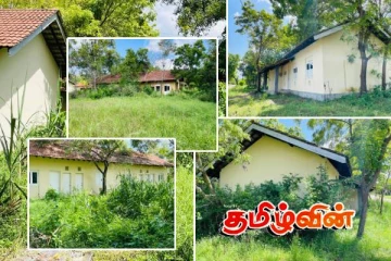 மக்களுக்கு கையளிக்கப்படாமல் காடு மண்டிக் கிடக்கும் வீடுகள்! 21 வருட அவல நிலை