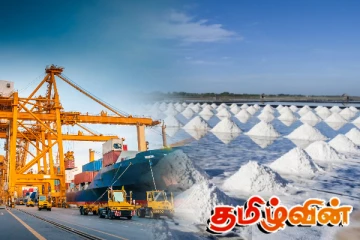 இறக்குமதி செய்யப்பட்ட உப்பு தொகை மாயம்! சபையில் கேள்வி எழுப்பிய எதிர்கட்சிகள்