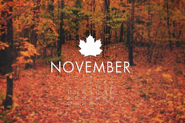 இந்த மாதத்தில் பிறந்த ஆண்களை திருமணம் செய்ங்க... மகிழ்ச்சிக்கு பஞ்சமே இருக்காது! | Which Birth Months Men Are Responsible Accountable