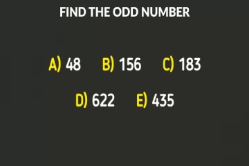 Brain Teaser Maths: உங்கள் கணக்கு அறிவை சோதிக்கலாம் இதில் வித்தியாச எண் எது?