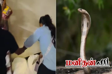 நாகப்பாம்பை கோணி பைக்குள் வைத்து பிடித்த பெண்.. அவரே சொன்ன அட்வைஸ்