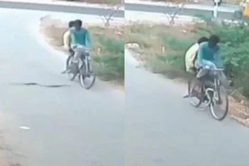 திடீரென வேகமாக வந்து சைக்கிளில் ஏறிய பாம்பு! அலறி ஓடிய இளைஞர்கள்; வைரல்