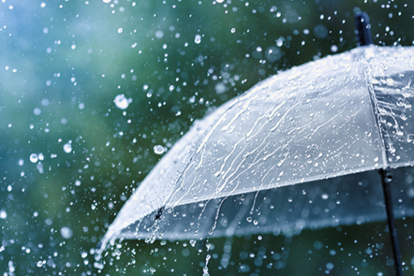 இன்று முதல் நாடு முழுவதும் அதிகரிக்கவுள்ள மழை! வளிமண்டலவியல் திணைக்களத்தின் எச்சரிக்கை | Rainy Weather Conditions Expected Across Country