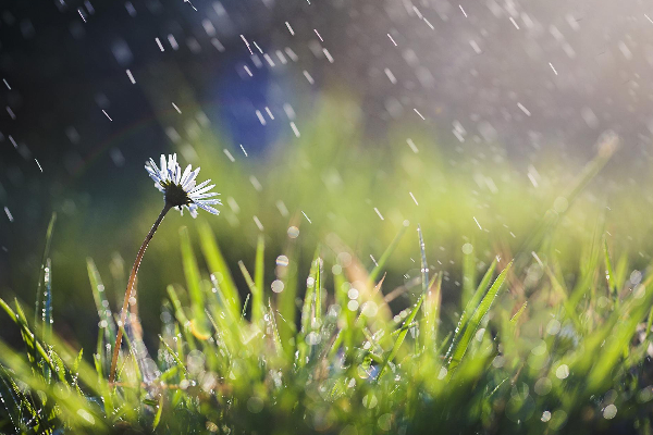 இன்றைய வானிலை அறிவிப்பு! | Today S Weather Update