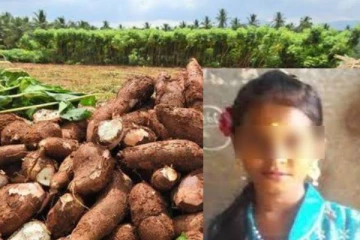 மரவள்ளி கிழங்கினால் பறிபோன சிறுமியின் உயிர்... மேலும் இருவர் வைத்தியசாலையில்!