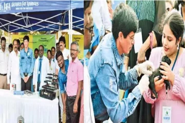 தெரு நாய்களை பொதுமக்கள் தத்தெடுக்கனும் - ராதாகிருஷ்ணன் வேண்டுகோள்