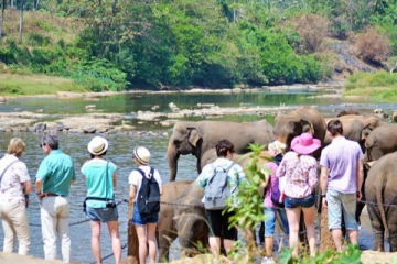 வெளிநாட்டு சுற்றுலா பயணிகளின் வருகையில்  ஏற்பட்ட திடீர் மாற்றம்