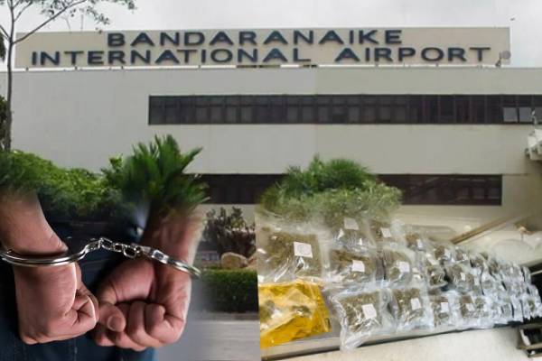 கட்டுநாயக்க விமான நிலையத்தில் 8 கோடி பெறுமதியான போதைப்பொருளுடன் ஒருவர் கைது | Man Arrested With Kush Drugs Worth Rs 8 Crore கட்டுநாயக்க விமான நிலையத்தில் 8 கோடி பெறுமதியான போதைப்பொருளுடன் ஒருவர் கைது | Man Arrested With Kush Drugs Worth Rs 8 Crore