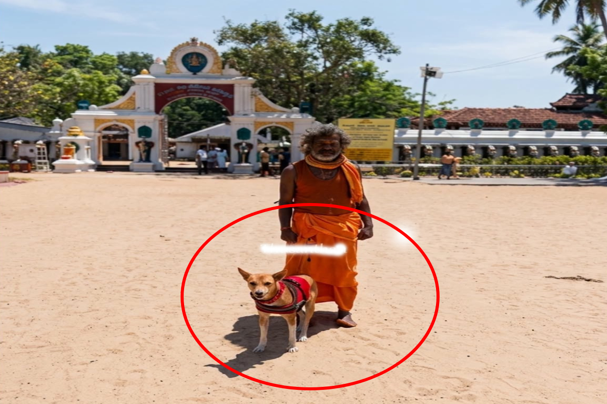 36 நாட்கள் பாத யாத்திரை; கதிர்காமம் சென்றடைந்த "சுப்ரமணியம்"; இணையவாசிகள் மகிழ்ச்சி | Subramaniam Dog Pilgrimage Arrived At Kataragama