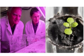 50 ஆண்டுகளுக்கு முன் பூமிக்கு கொண்டு வந்த சந்திர மண்ணில் முளைத்தது தாவரம் - ஃபுளோரிடா விஞ்ஞானிகள் மாபெரும் சாதனை