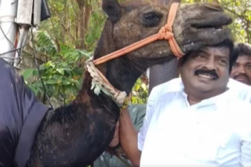 70வது பிறந்த நாள்; ஒட்டகத்தை முதலமைச்சருக்கு பரிசளிக்க வந்த தொண்டர் - மிரண்டு போன போலீசார்
