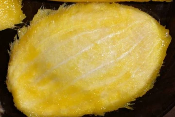 மாம்பழ விதையை இனி வீசாதீங்க.. இந்த Secret Benefits உங்களை ஆச்சரியப்படுத்தும்!