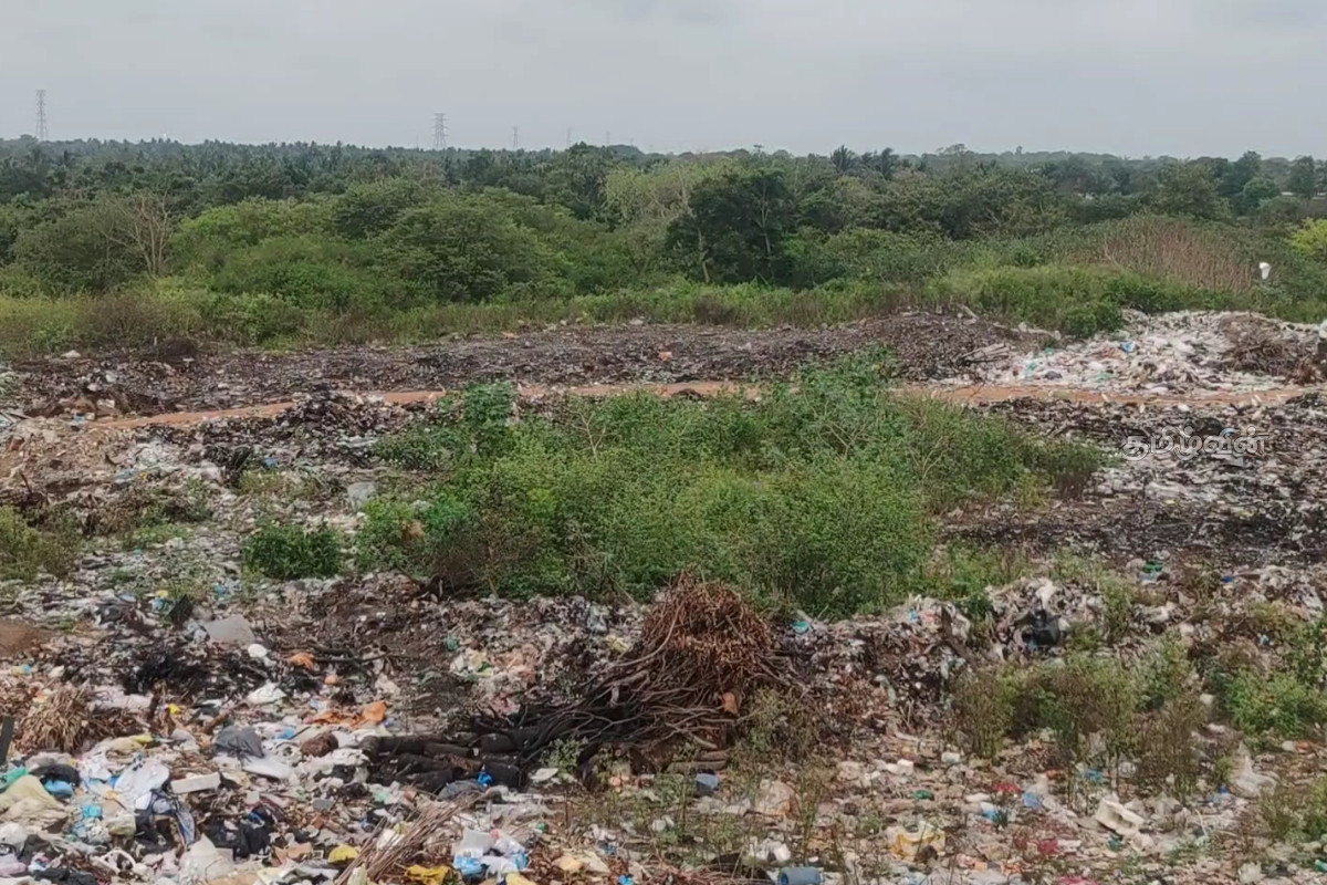 வவுனியா குப்பை மேட்டு பிரச்சனை: குழு அமைத்து தீர்வு காண நடவடிக்கை | Vavuniya Garbage Dump Problem