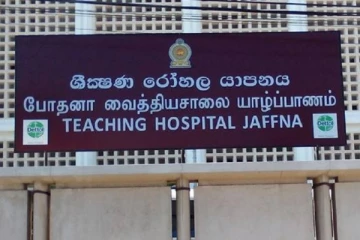 யாழில் குளவி கொட்டுக்கு இலக்கான வயோதிபர் பலி