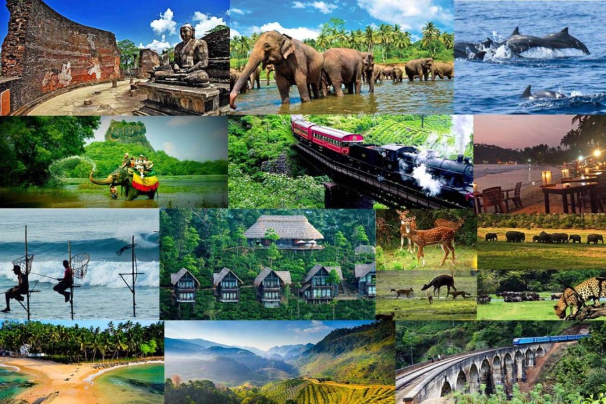 சர்வதேச பட்டியலில் இலங்கைக்கு முதலிடம்! சுற்றுலாத்துறையில் புதிய மைல்கல் | Sri Lanka Tops World S Best Island Destinations சர்வதேச பட்டியலில் இலங்கைக்கு முதலிடம்! சுற்றுலாத்துறையில் புதிய மைல்கல் | Sri Lanka Tops World S Best Island Destinations