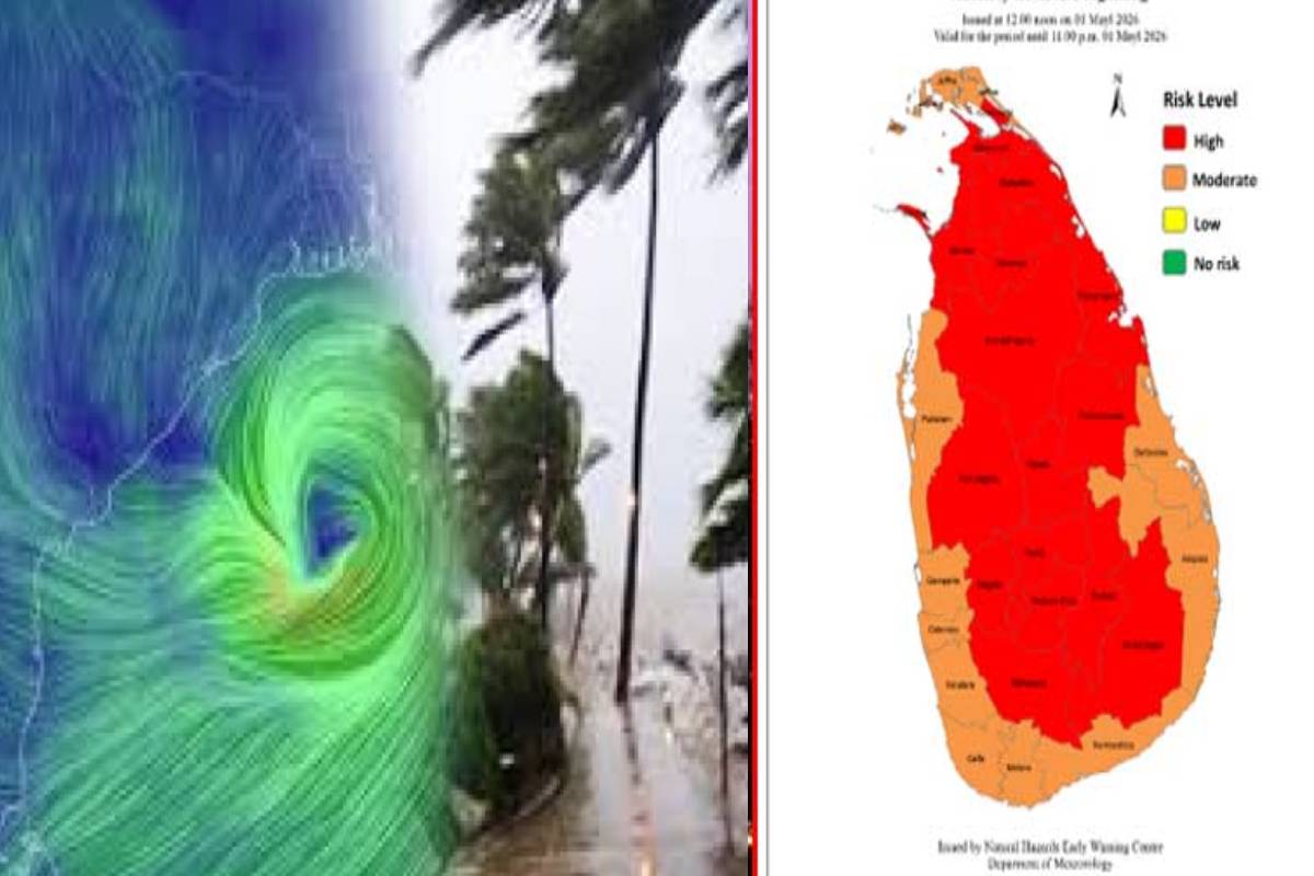 இலங்கைக்கு வடகிழக்கில் நிலைக்கொண்டுள்ள குறைந்த காற்றழுத்த தாழ்வுநிலை - அடுத்த 36 மணிநேர வானிலையில் மாற்றம் | Weather Forecast For The Next 36 Hours