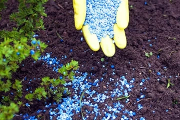 உலக வங்கியின் கடுமையான விதிமுறைகளுடன் உர இறக்குமதி