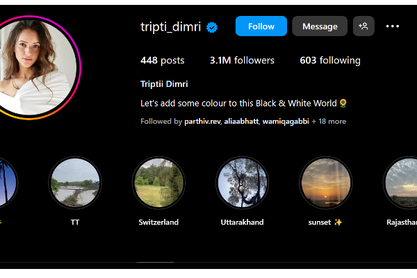 புது நேஷ்னல் கிரஷ் இவர்தான்.. ராஷ்மிகா இடம் பறிபோனதா? | Tripti Dimri Is New National Crush After Animal