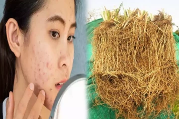 சருமத்தை பாதுகாக்கணுமா? அதற்கு இந்த ஒரு வேர் போதும்