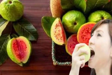 தினமும் ஒரு கொய்யா பழம் சாப்பிட்டால் இவ்வளவு நன்மைகளா?