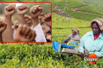 ඉඩම් අයිතිය ඉල්ලා වතුකර ජනතාව උද්ඝෝෂණයක