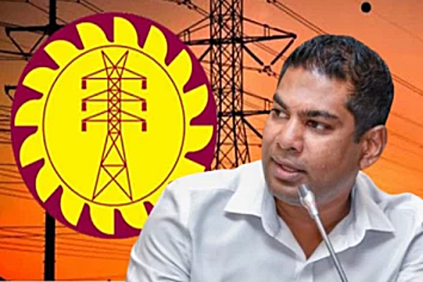 நாட்டின் அரசியல் குழப்பங்களால் தாமதமடையும் அதானியின் மின்சார திட்டங்கள் | Adani Power Projects Delayed Country Political