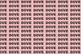 Optical Illusion: நீங்கள் அதிபுத்திசாலியா? அப்படியானால் 30 வினாடிகளில் புதிரை கண்டுபிடியுங்கள்