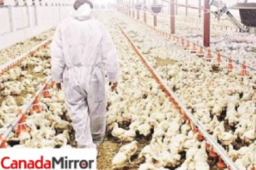 வெளிநாடொன்றில் 2.2 கோடி பண்ணை பறவைகள் அழிப்பு! எதற்காக தெரியுமா?