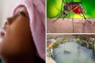 கொழும்பு மக்களுக்கு டெங்கு நோய் தொடர்பில் விடுக்கப்பட்டுள்ள எச்சரிக்கை