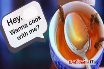 தேனை சூடுபடுத்துவது 'விஷமாக' மாறுமா? மருத்துவ விளக்கம்