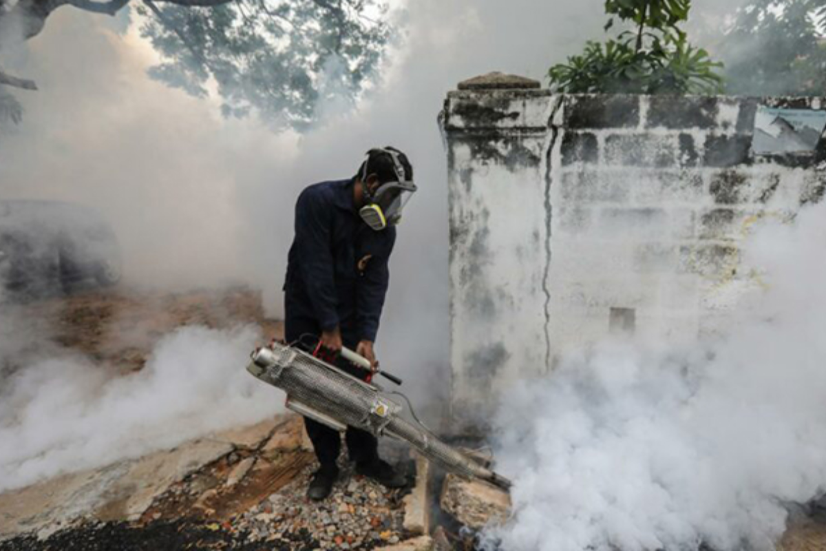 டெங்கு புகை விசிறல் நடவடிக்கையால் காத்திருக்கும் பாதிப்பு | Dengue Fogging May Trigger Health Risks