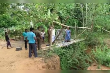 5 வயது சிறுவன்  பரிதாபகரமாக உயிரிழப்பு