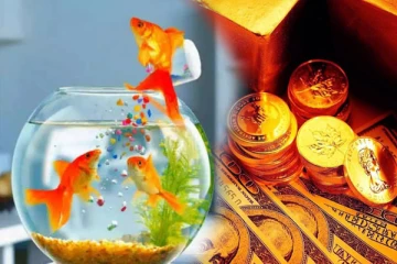 வாஸ்து மீன்கள் பற்றிய இந்த விடயம் தெரியுமா? கட்டாயம் தெரிஞ்சிக்கோங்க