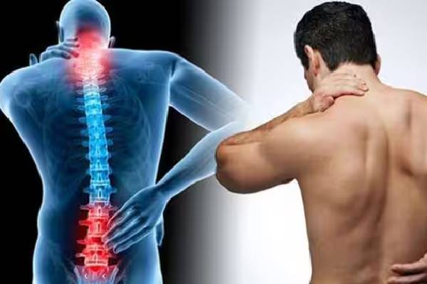 உலக முதுகெலும்பு தினத்தில் ஒரு விழிப்புணர்வு! | Siddha Medicine