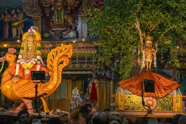 நல்லூர் சிவன் கோவிலில் திருவெம்பாவை புட்டு திருவிழா; பக்தியுடன் கலந்துகொண்ட பக்தர்கள்! | Thiruvempavai Puttu Thiruvizha Nallur Sivan Kovil