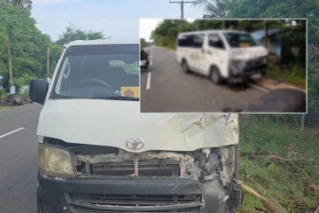 திருகோணமலை - மட்டக்களப்பு பிரதான வீதியில் அரச வாகனம் மோதியதில் மாடு பலி