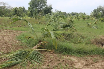எமது வாழ்வாதார அழிவிற்கு நஷ்டஈடு வழங்கப்படவில்லை: பிரதேசவாசிகள் கவலை தெரிவிப்பு