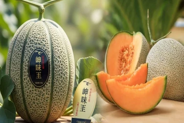 உலகிலேயே விலை உயர்ந்த பழம் இதுதான்! ஒரு கிலோ ஒரு சொகுசு காரின் விலையா?