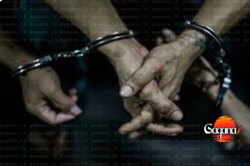 නිවාඩු දවසට කොහේ හරි ඇවිදින්න යනවා නම් මේ අයට අහුවෙන්න එපා