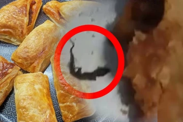 சிக்கன் பப்ஸ் இல் பல்லி; வாடிக்கையாளருக்கு அதிர்ச்சி!