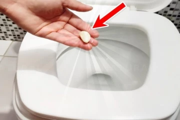 டாயிலட்டில் பூண்டை போட்டால் என்ன நடக்கும் தெரியுமா? ஒரு தடவை செய்து பாருங்க..