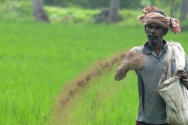 விவசாயிகளுக்கான மகிழ்ச்சி செய்தி | Good News For Farmers