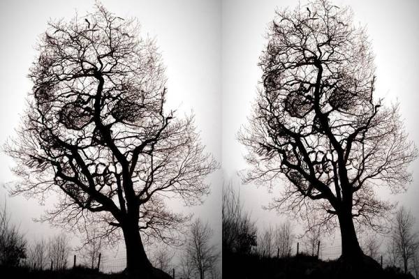 இனி உஷாராக இருங்க.. ஆழ்மனதில் நினைப்பதை கண்டுபிடிக்க ஒரு Test- படத்தில் தெரிவது என்ன? | Literal Illusion Reveals Your Biggest Weakness இனி உஷாராக இருங்க.. ஆழ்மனதில் நினைப்பதை கண்டுபிடிக்க ஒரு Test- படத்தில் தெரிவது என்ன? | Literal Illusion Reveals Your Biggest Weakness