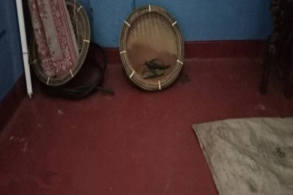 சட்டவிரோத செயலில் ஈடுபட்டு வந்த நால்வரை கைது செய்த பொலிஸார்! | 4 Arrested Engaged Excavation Of Precious Stones சட்டவிரோத செயலில் ஈடுபட்டு வந்த நால்வரை கைது செய்த பொலிஸார்! | 4 Arrested Engaged Excavation Of Precious Stones