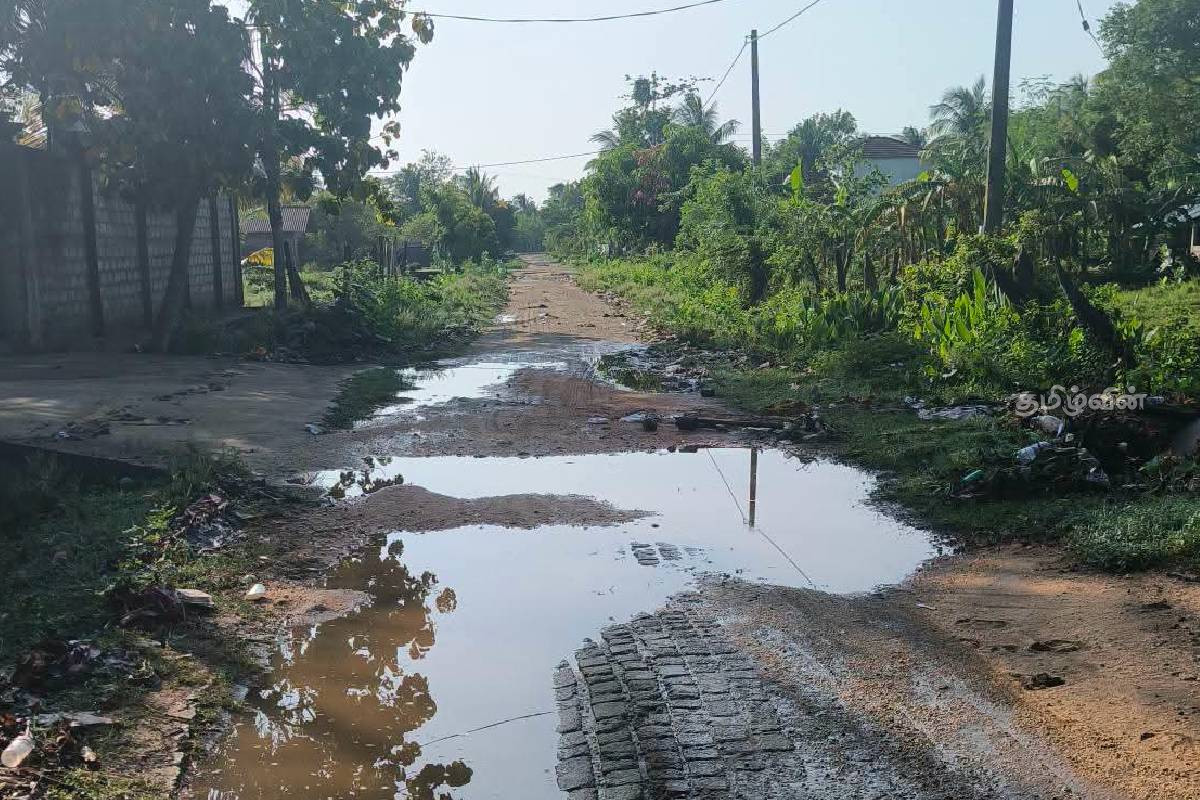 முள்ளிபொத்தானை- நிஸ்கோ வீதியை புனரமைப்புச் செய்யுமாறு கோரிக்கை | Request To Rehabilitate Nisko Road