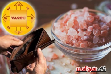 பணம் கைகளில் தங்குவதில்லையா? இந்த பொருளை பர்சில் வைத்து பாருங்க பணம் குவியும்